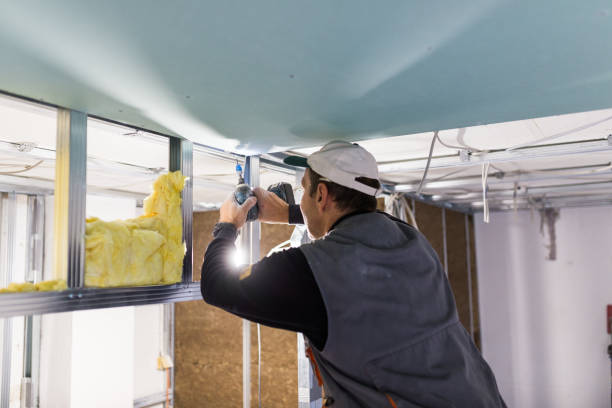 Insulation Replacement Services in Raceland, KY
